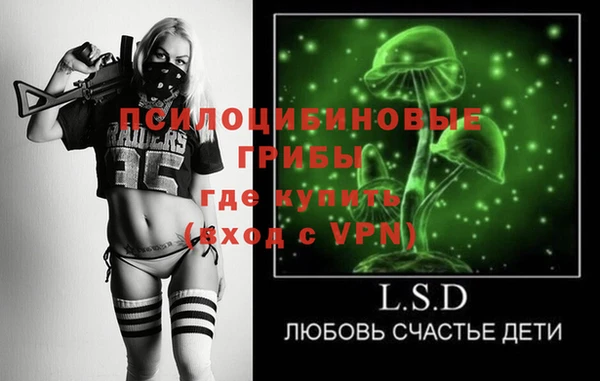 2c-b Заводоуковск