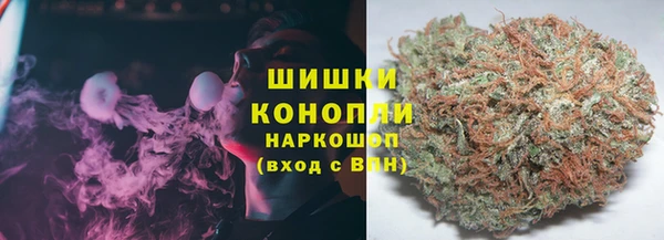 2c-b Заводоуковск